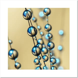 Gold and Blue Grass Seed Drops Posters and Art